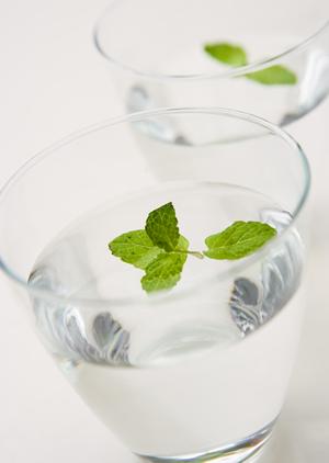 ダイエット合宿で効率的に痩せる