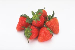 【断食合宿】自然の中でリフレッシュ！おすすめ宿泊プランを徹底解説