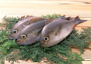 新橋で楽しむ至高の居酒屋体験！美味しい日本酒とおばんざいを堪能する方法