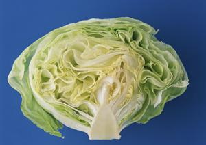 おすすめの和菓子屋でお土産を買おう