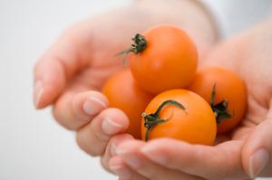 秋葉原で絶対に外せない居酒屋ガイド2025年版：おすすめ店と楽しみ方徹底解説