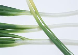 奥芝商店 旭川亭：こだわりのスープカレーと居心地の良い空間をご紹介